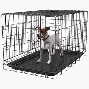 Kennel Cage with Jack Russell Terrier Fur