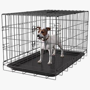 Kennel Cage with Jack Russell Terrier Fur