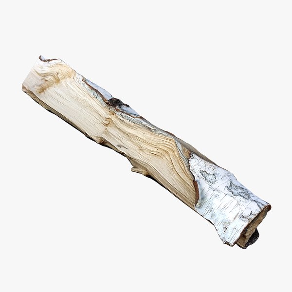 scan wood log 3D model