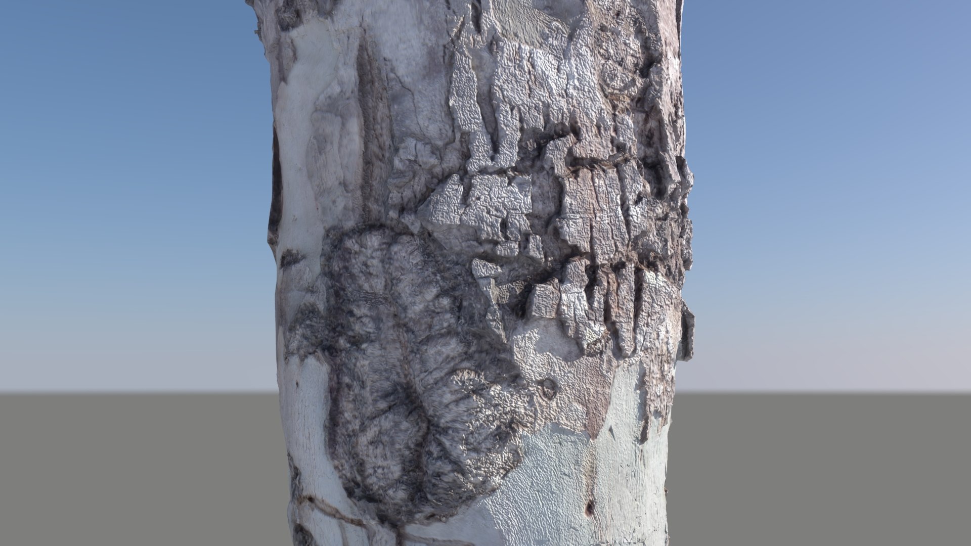 tree 3D https://p.turbosquid.com/ts-thumb/pJ/fgvjfi/ooOngvBw/tree13/jpg/1529541317/1920x1080/fit_q87/fa4241f30d766435961c0ee946df68e60dbe575f/tree13.jpg