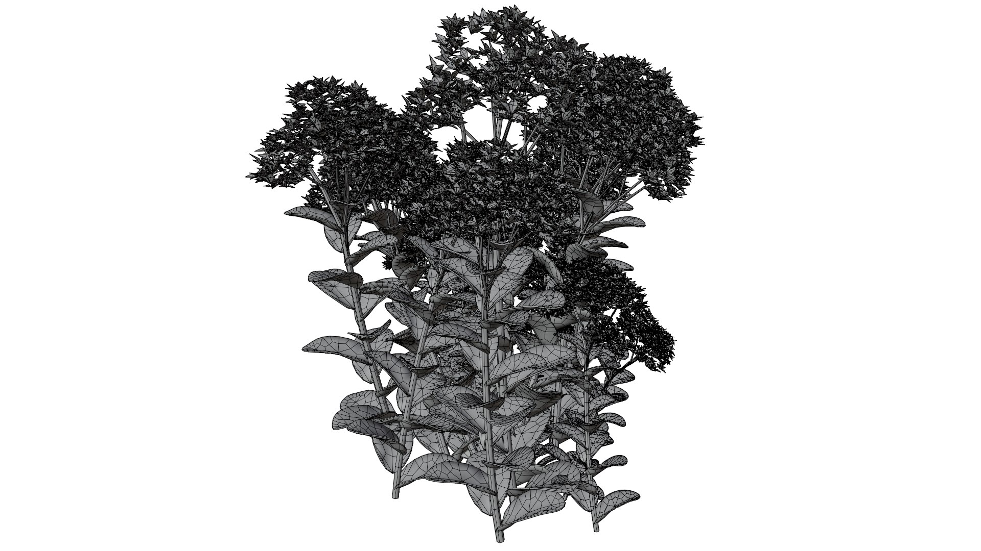 Stonecorp Model - TurboSquid 2351641