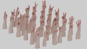 3D Hands model
