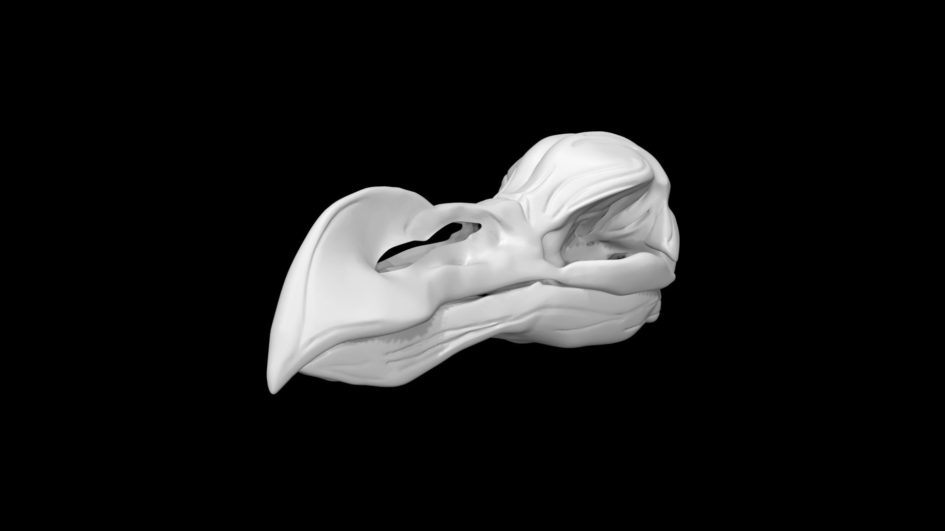 3D Dodo Skull Model - TurboSquid 1889582