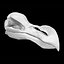 3D Dodo skull model