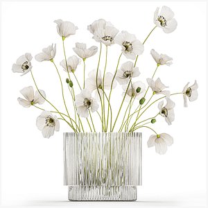 3D model bouquet of white wild flowers in a vase Poppy 450