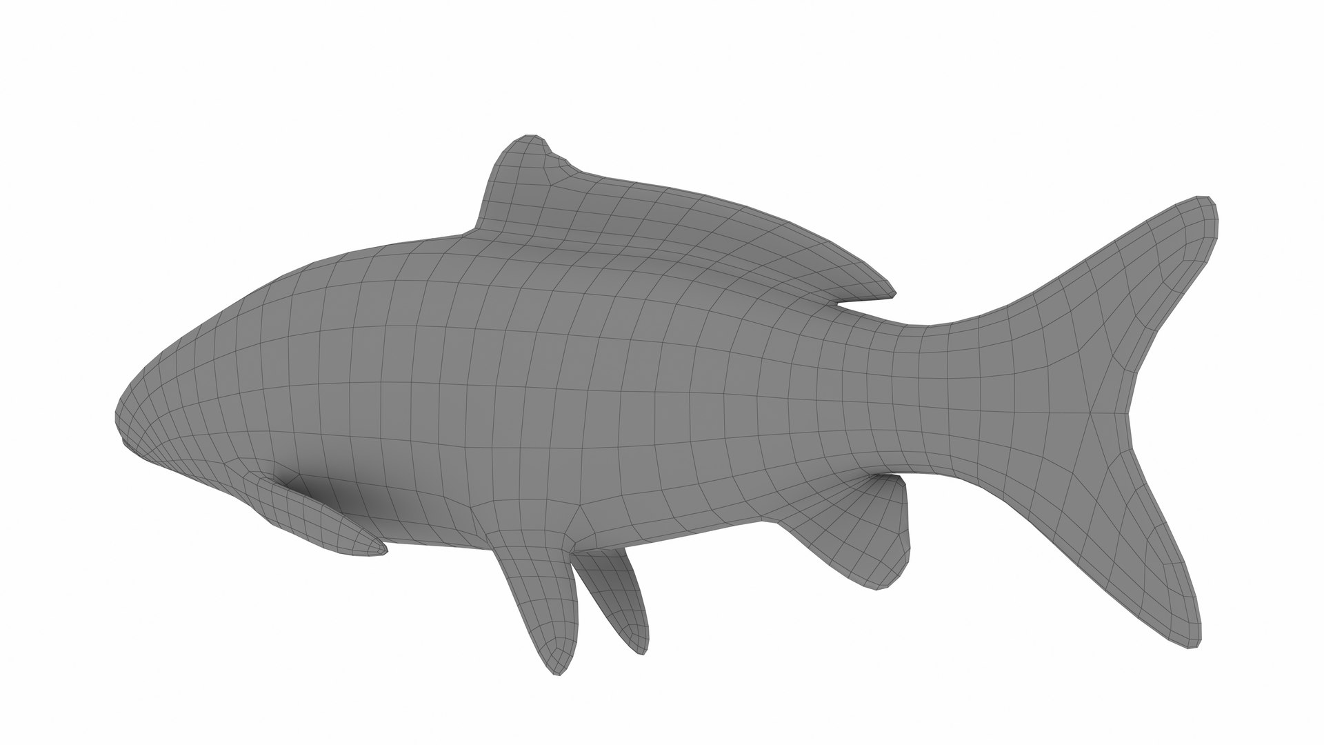 Carp Fish Model - TurboSquid 2386908