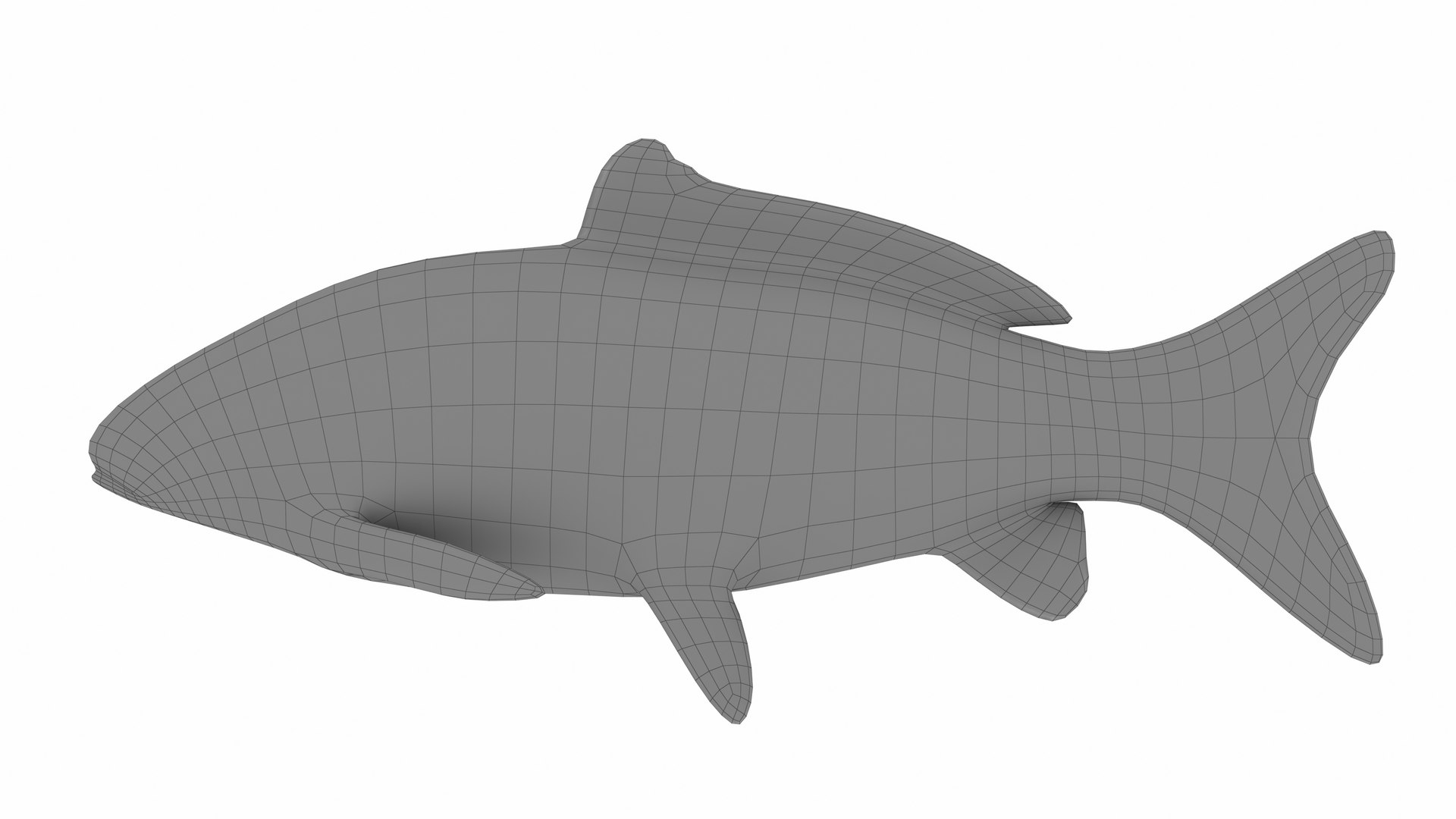 Carp Fish Model - TurboSquid 2386908