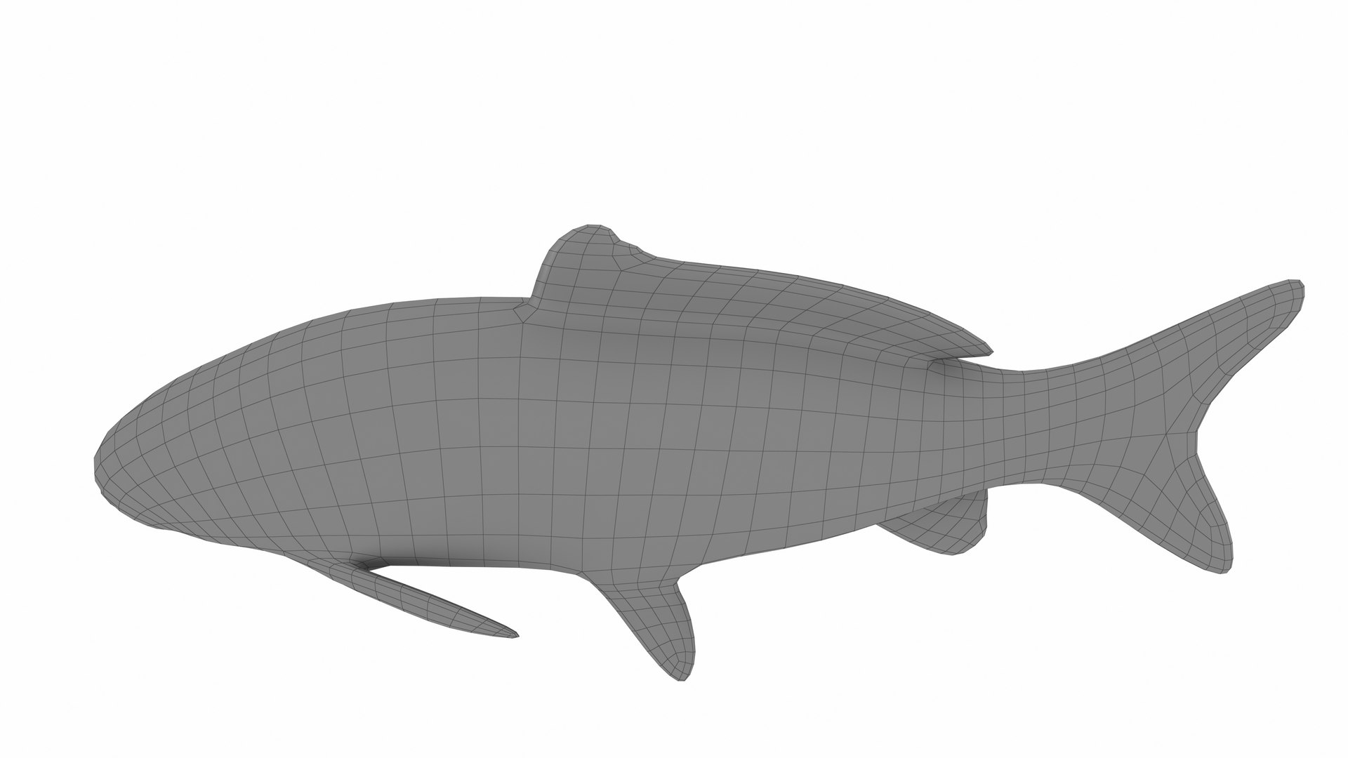 Carp Fish Model - TurboSquid 2386908