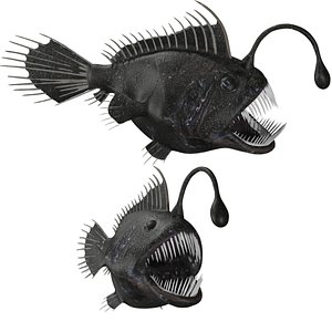 Anglerfish 3D model