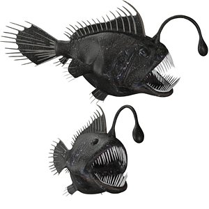Anglerfish