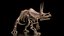 3D triceratops skeleton fossil rigged