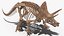 3D triceratops skeleton fossil rigged