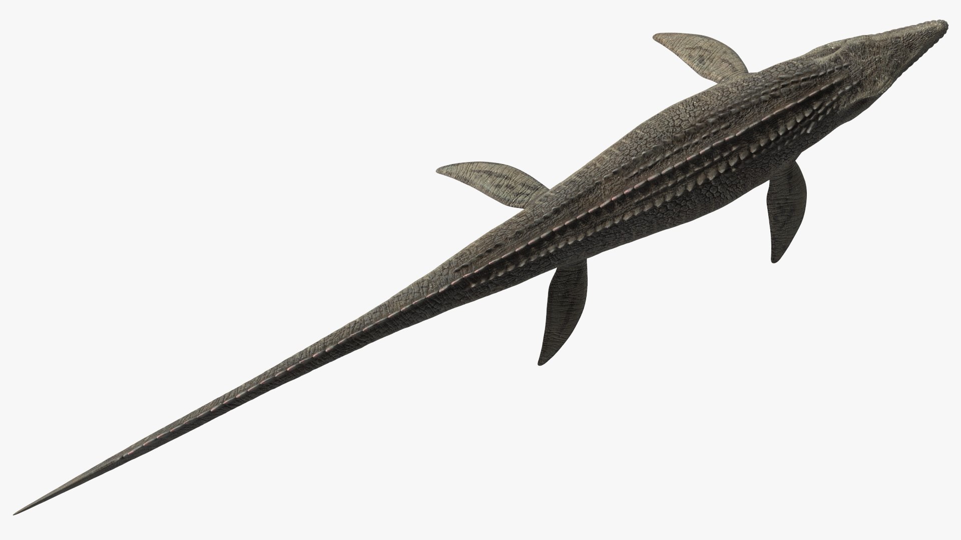 3D Mosasaurus Rigged for Cinema 4D model - TurboSquid 1942087
