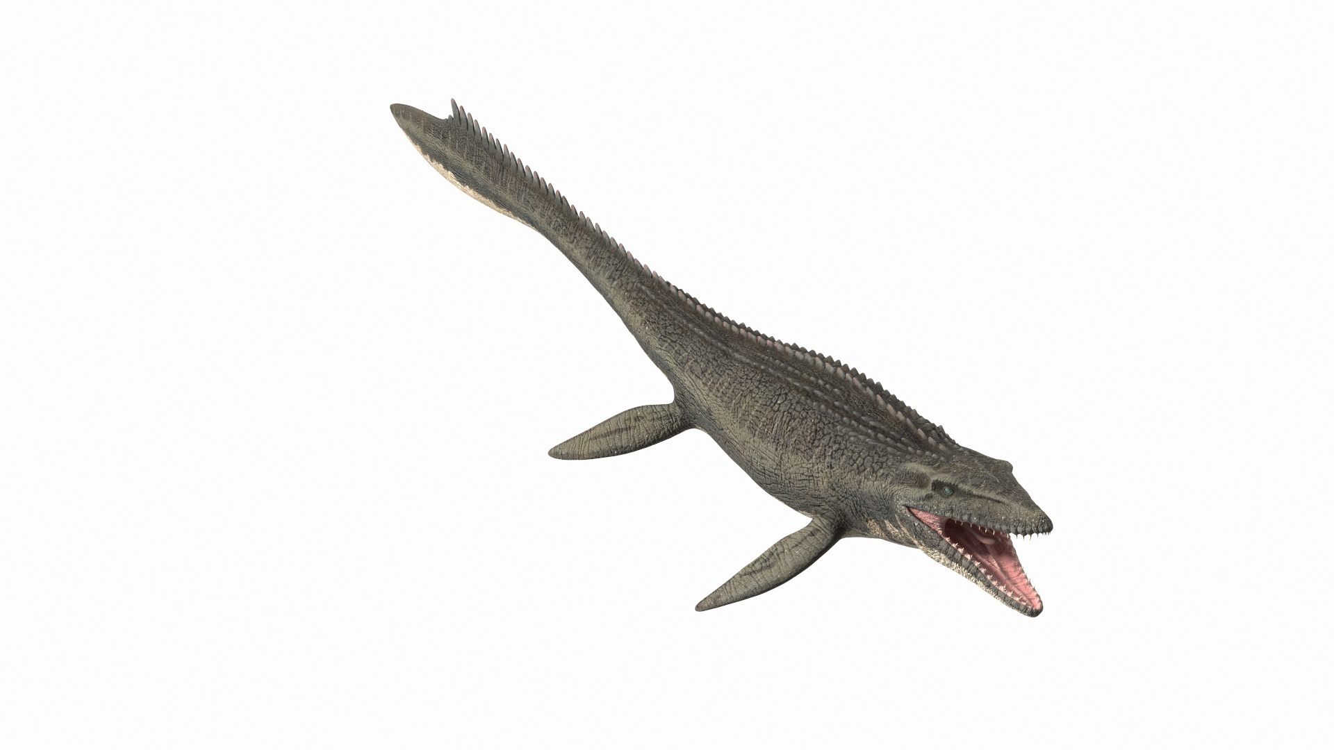 Mosasaurus model clearance