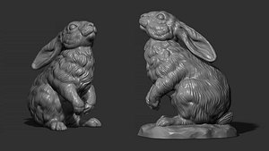 Hare looks up model