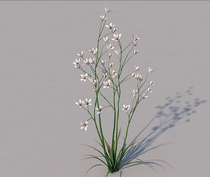 3D grass flower