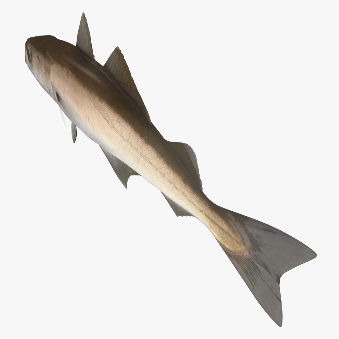 3d 3ds Pollock