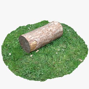 tree log 2 max
