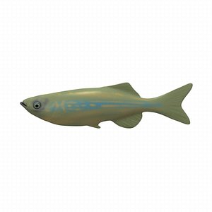 fish aquarium 3ds