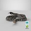 dark rattlesnake snake rattle 3D model