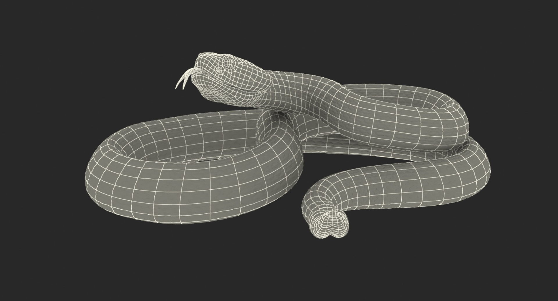 dark rattlesnake snake rattle 3D model https://p.turbosquid.com/ts-thumb/pK/uk2m3W/Fam8W9nh/dark_rattlesnake_361/jpg/1555466575/1920x1080/turn_fit_q99/5fa4d0a1409cd7621882ab4d1d3fd2d26db80321/dark_rattlesnake_361-1.jpg