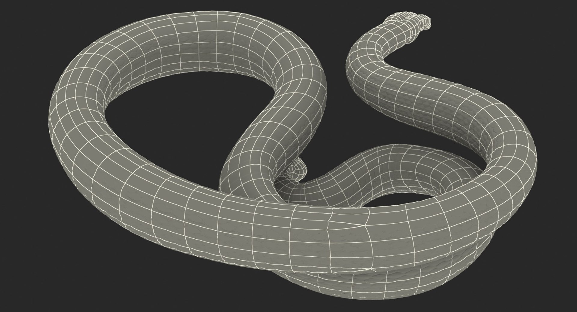 dark rattlesnake snake rattle 3D model https://p.turbosquid.com/ts-thumb/pK/uk2m3W/LnY5baN2/darkrattlesnake3dsmodel022/jpg/1555467067/1920x1080/fit_q87/0ba6e5b24a673e96fffe1e5e7c48b014dea451ff/darkrattlesnake3dsmodel022.jpg