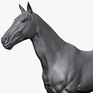 3D realistic horse zbrush