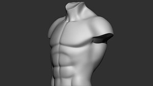 3D Male torso