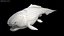 Dunkleosteus