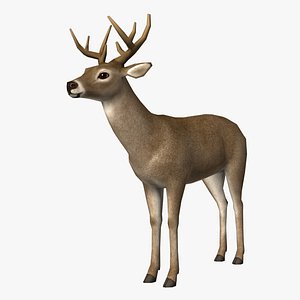 deer edge loop 3d max