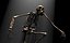 LUCY australopithecus afarensis