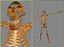 LUCY australopithecus afarensis
