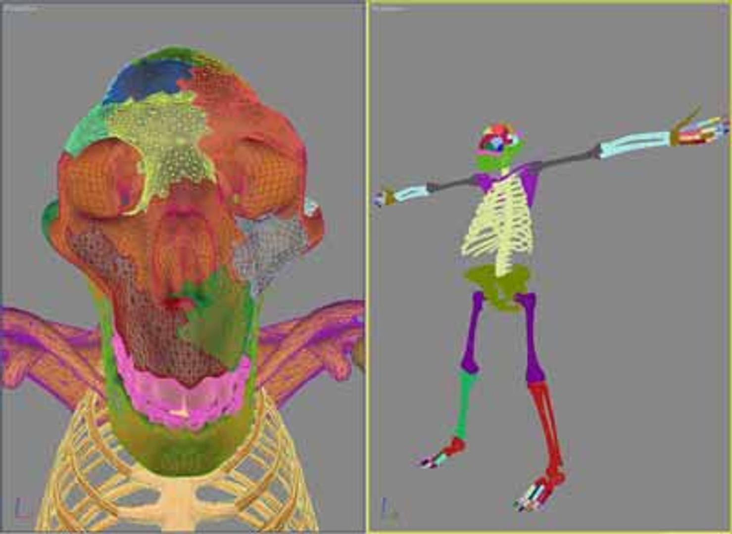 3d model skeleton australopithecus aka lucy https://p.turbosquid.com/ts-thumb/pL/HAKo6q/uAcmPfyx/t_lucy_scr_shot_b/jpg/1112561966/1920x1080/fit_q87/60c2120103df5c4515e50ff542e4ae79c15cd197/t_lucy_scr_shot_b.jpg