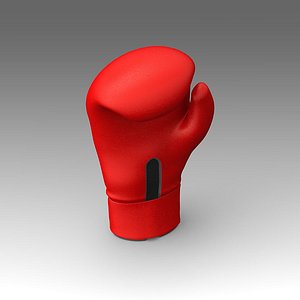Boxing Gloves