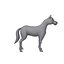 Horse Cartoon 02