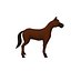 Horse Cartoon 02