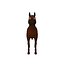 Horse Cartoon 02