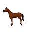 Horse Cartoon 02
