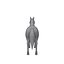 Horse Cartoon 02