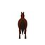 Horse Cartoon 02