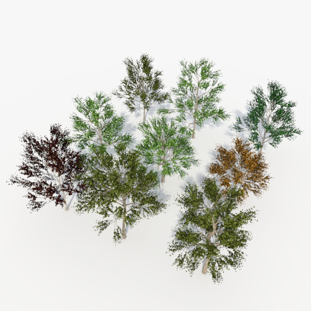 3d Deciduous Tree Pack