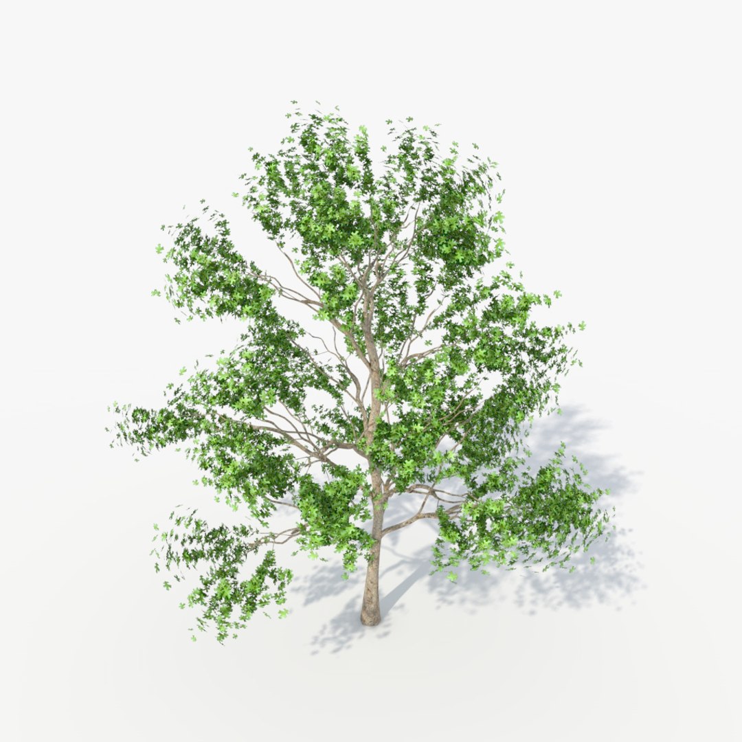 3d Deciduous Tree Pack
