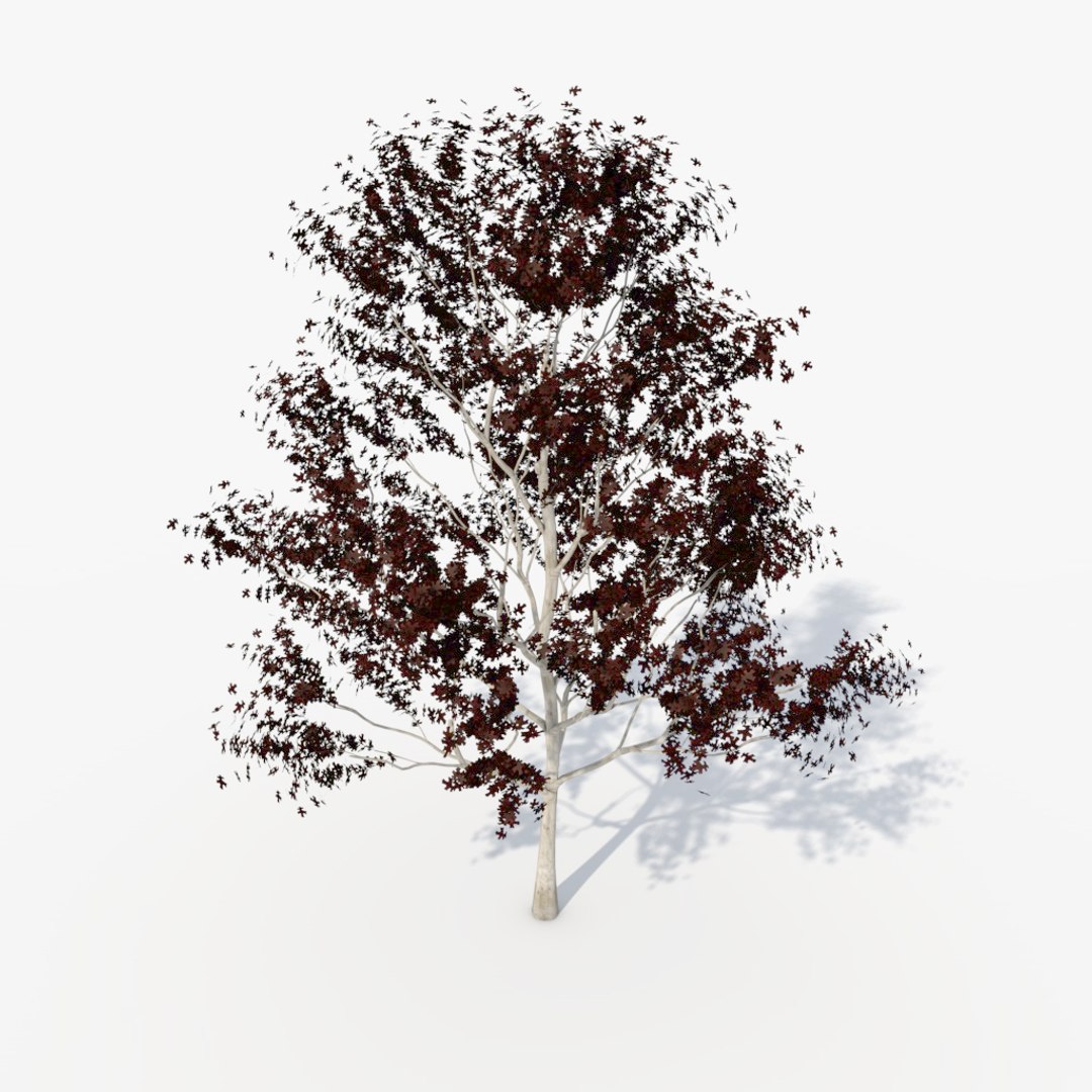 3d Deciduous Tree Pack