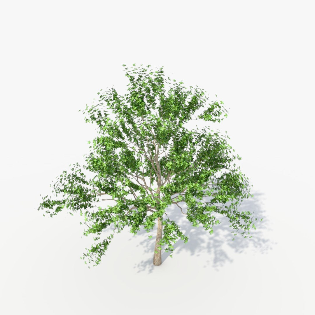 3d Deciduous Tree Pack