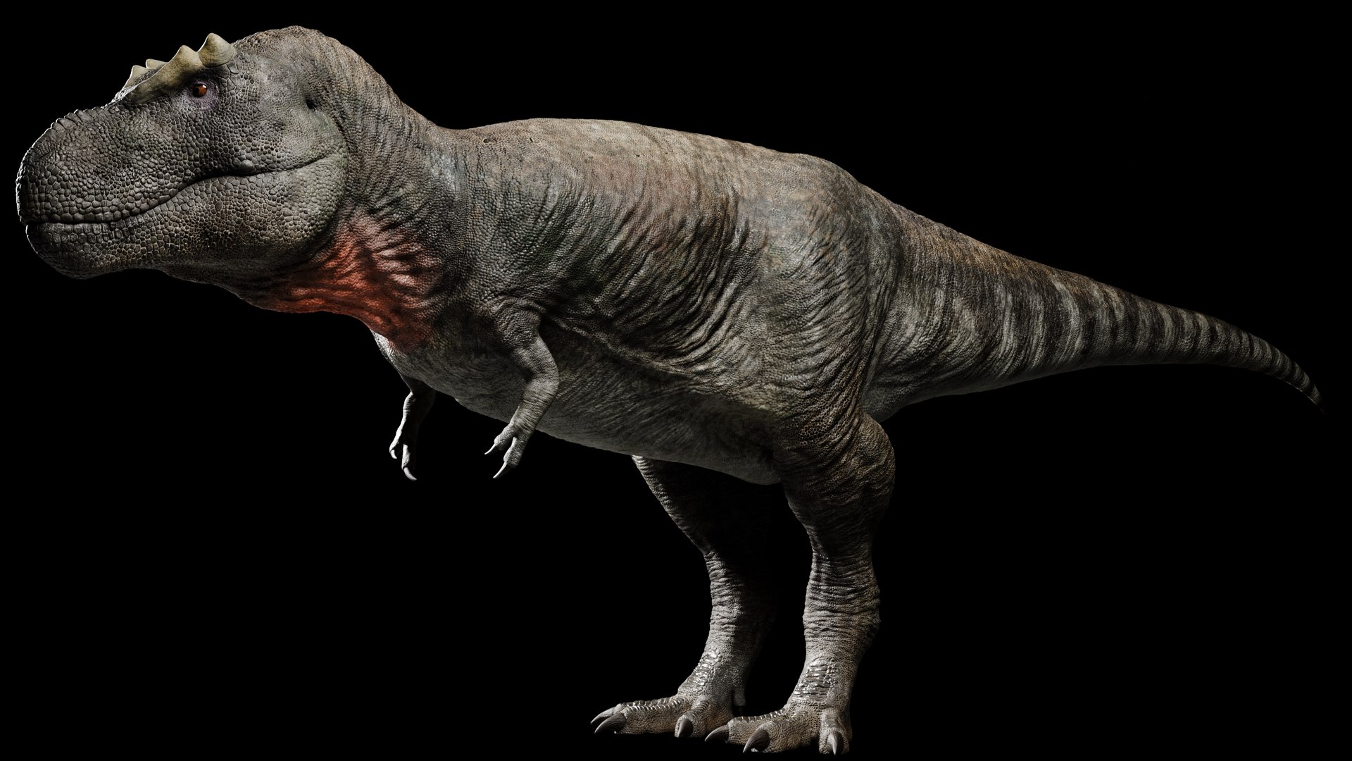 3D Model Tyrannosaurus Rex Scientifically Accurate Realistic ...