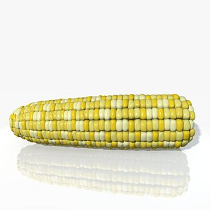 ear corn 3d model