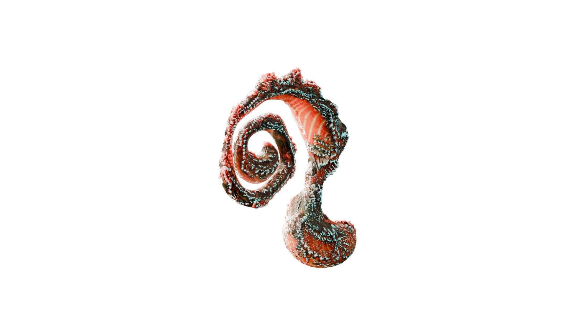 Bioluminescent Tentacle an Organic Fungi Alien Plant Animated 3D model https://p.turbosquid.com/ts-thumb/pL/ebJ6IU/r8/alienplant_0203/png/1769728776/1920x1080/fit_q87/5ec1b4503abead43de8bbebe314f21ec6c8f95f7/alienplant_0203.jpg