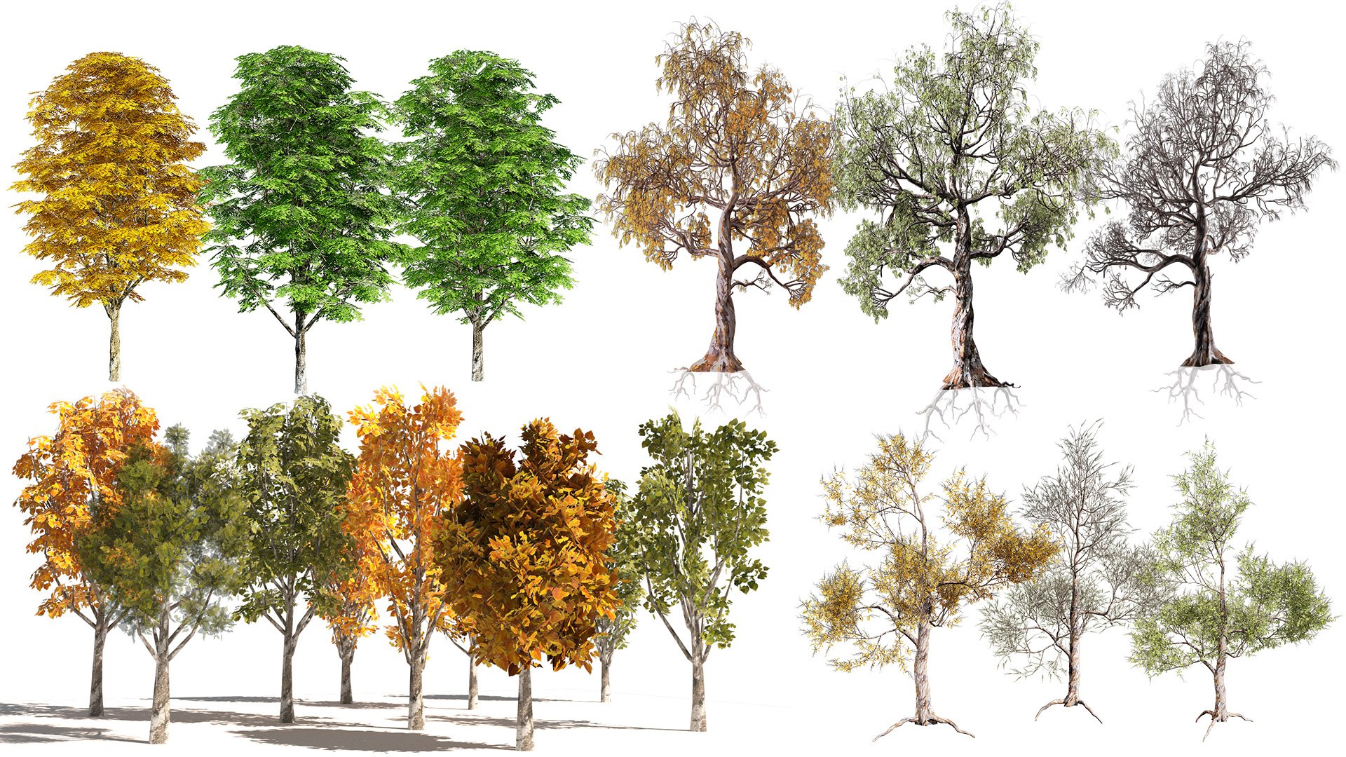3D Private Round Pergolas In A Wooded Setting With Trees Collection ...