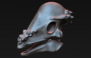 3D pachycephalosaurus skull