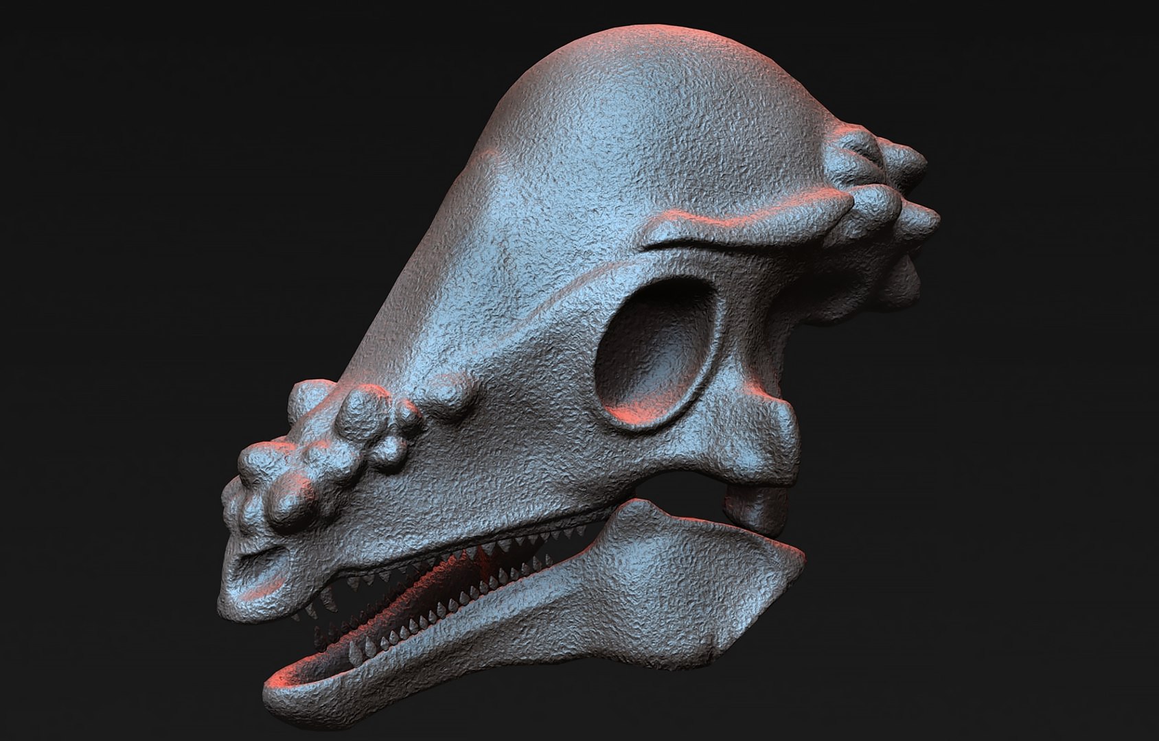 3D pachycephalosaurus skull https://p.turbosquid.com/ts-thumb/pL/jYmRy0/jb/r011/jpg/1739445895/1920x1080/fit_q87/e6ae4ecfeac7d0cbeff8cf2a0aa0f4a0b88db800/r011.jpg